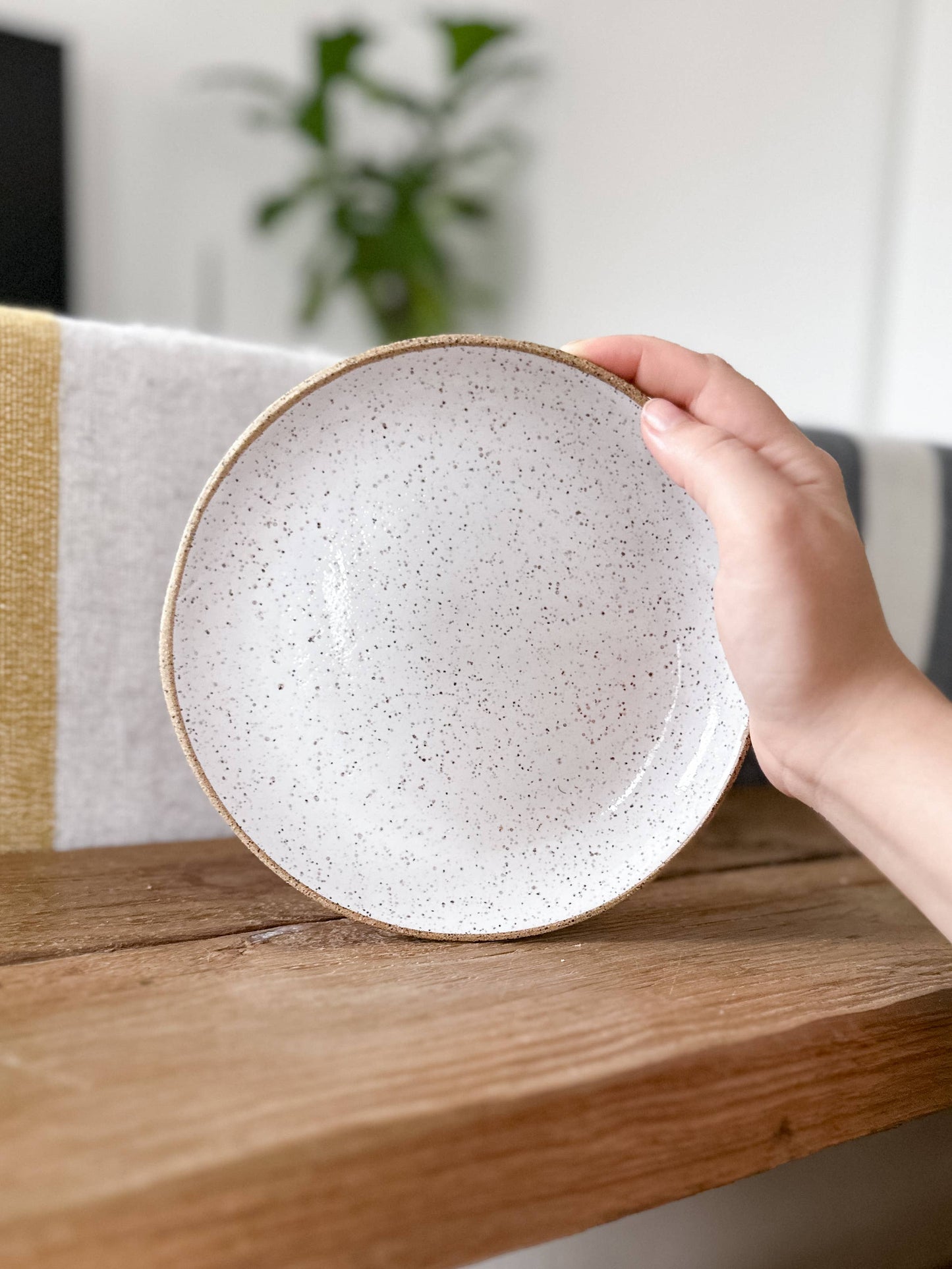 Handmade Speckle Dinner Plate by JordanB Ceramics