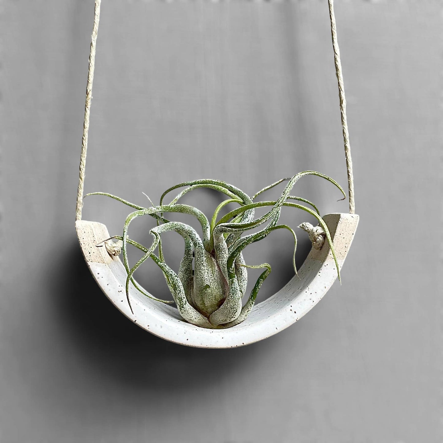 Hanging Air Plant Cradle | White Speckled Gloss by Mudpuppy