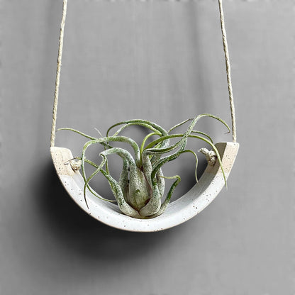 Hanging Air Plant Cradle | White Speckled Gloss by Mudpuppy