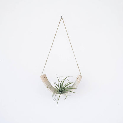 Hanging Air Plant Cradle | Large | White Speckled Gloss by Mudpuppy