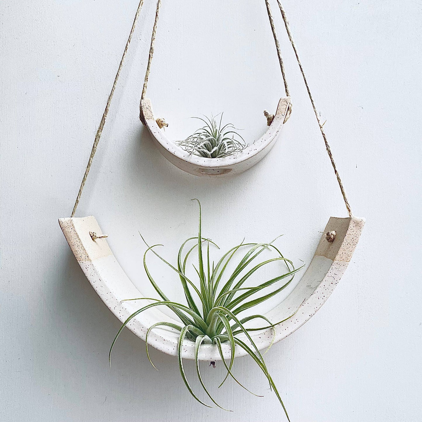 Hanging Air Plant Cradle | Large | White Speckled Gloss by Mudpuppy