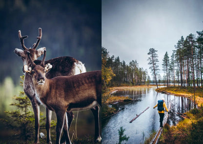 Food Over the Campfire - Recipes for Day Hikes and Wilderness Treks