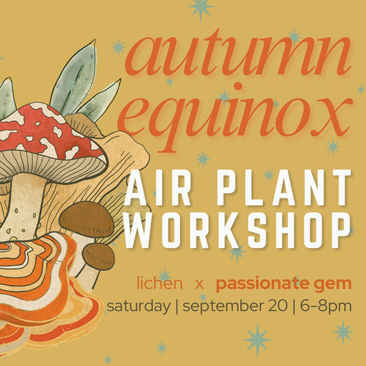 ADMISSION Autumn Equinox — Air Plant Workshop with Passionate Gem