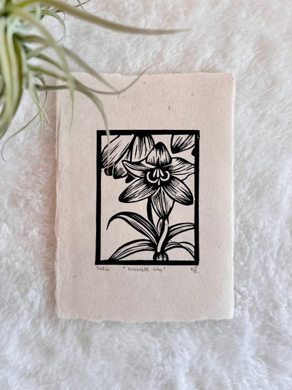 Chocolate Lily Original Mini Print by Adrift Prints