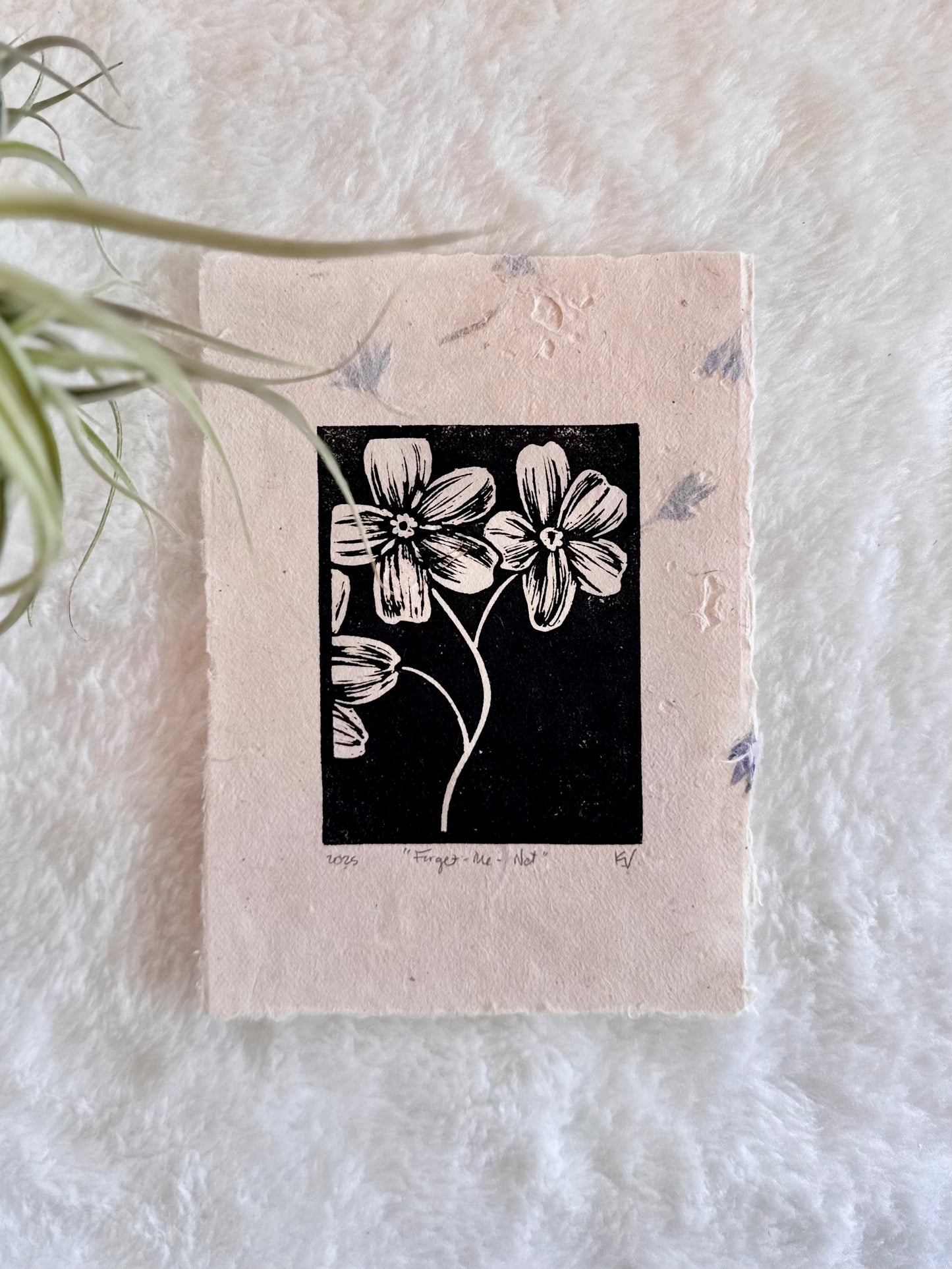 Forget-me-not Print by Adrift Prints