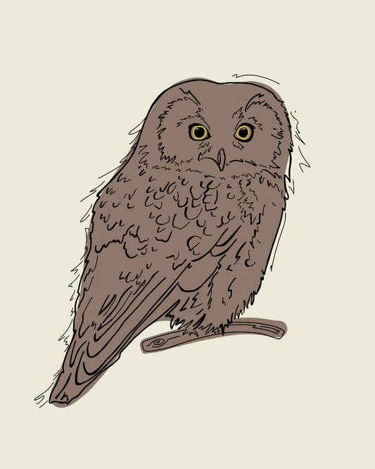 Little Boreal Owl Card by Printworthy