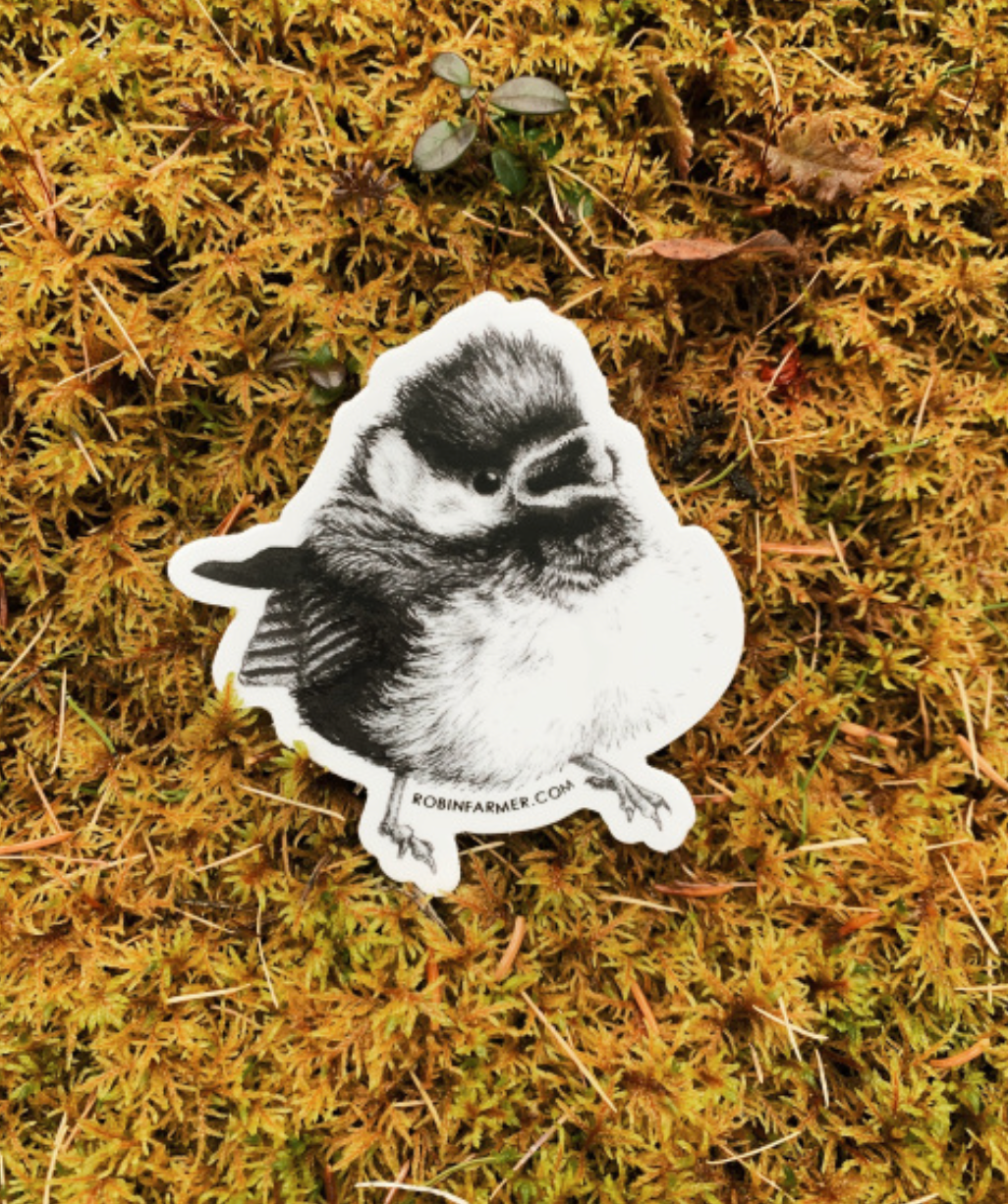 Chickadee Sticker by Robin Farmer