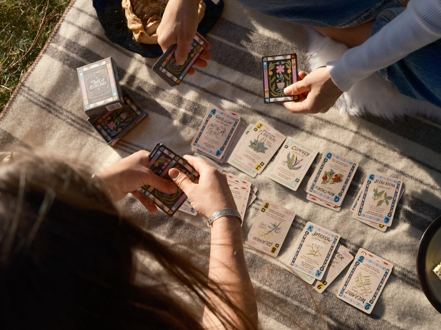 Card Game Companion: 20 Classic Card Games + Ways to Play