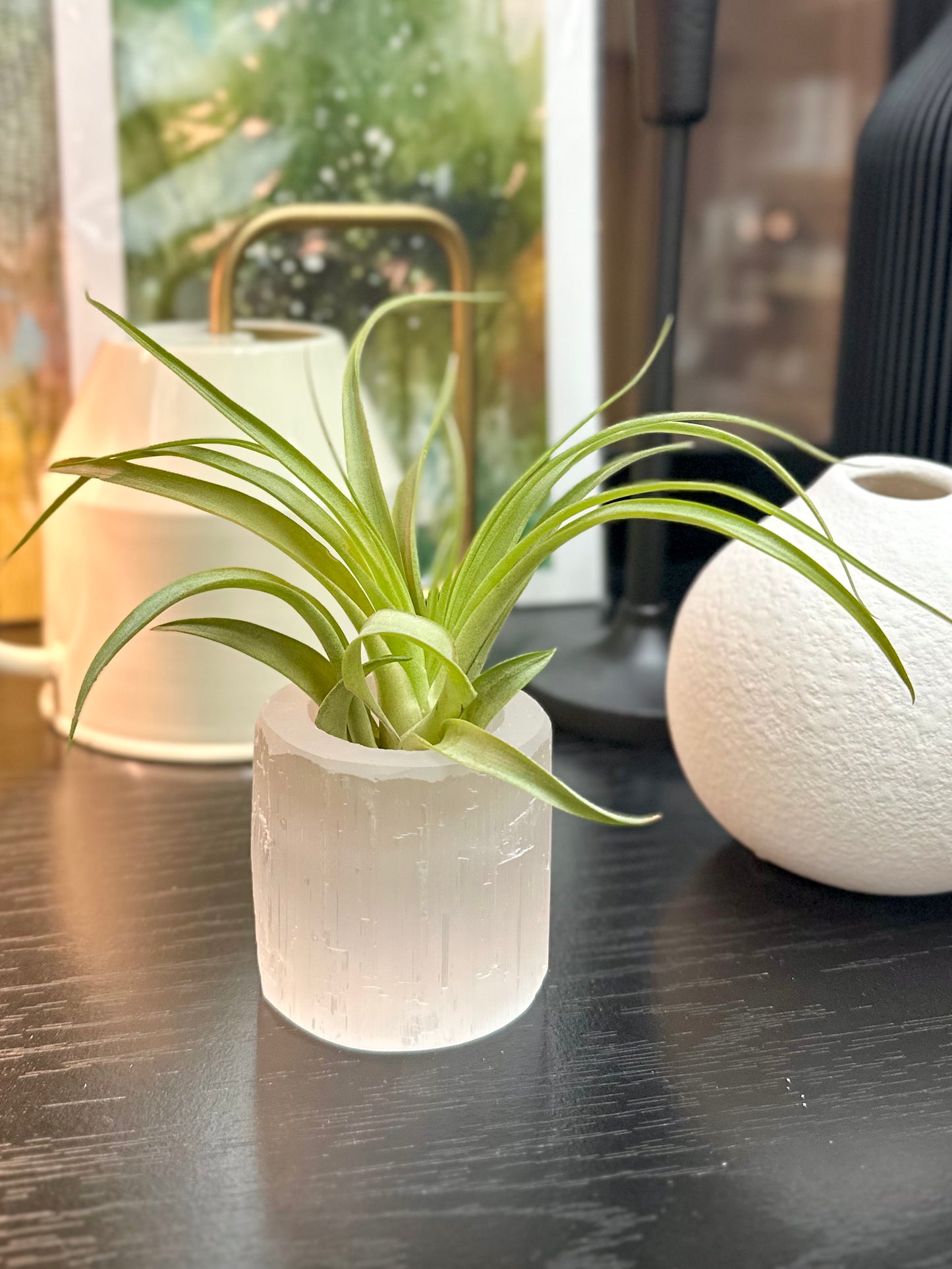 Selenite Air Plant Holder #420 by Passionate Gem