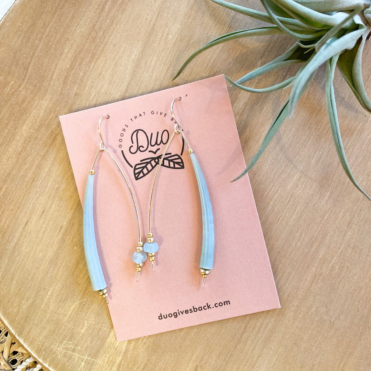 Duo earrings with a plant in the background