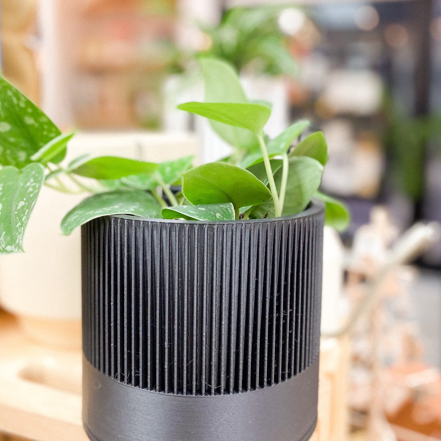 Black textured planter with green plant in a blurred indoor setting