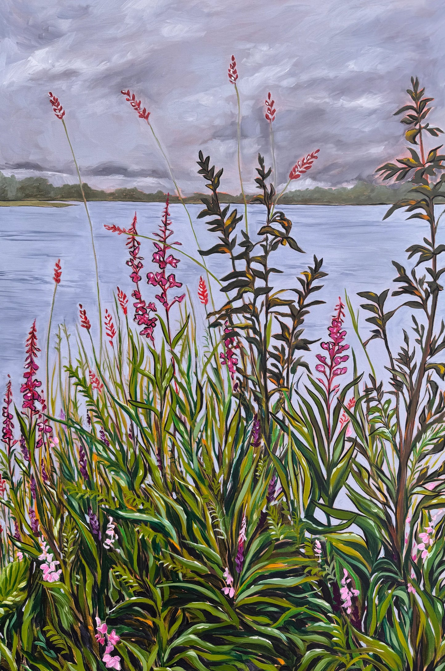 Fluster of Fireweed 13x19 Print by AnnMarie Young Art