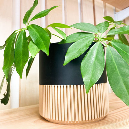 Modern Slat Planter | Black by Prairie City Printing Co.