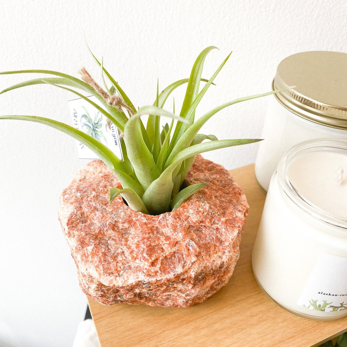 Orchid Calcite + Air Plant #221 by Passionate Gem