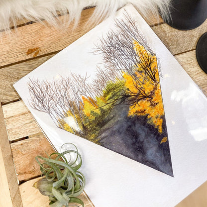 Boreal Forest in Fall 8x10 Print by Brittany Montour