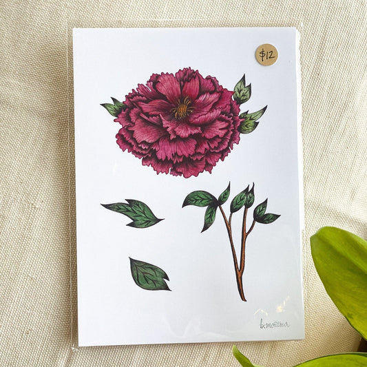 Bloomed Peony 1 8x10 Print by Brittany Montour