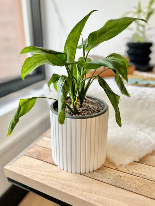 Nordic Plant Pot in Snow | Large by Prairie City Printing Co.