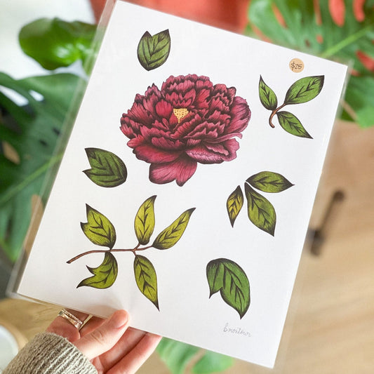 Bloomed Peony 2 8x10 Print by Brittany Montour