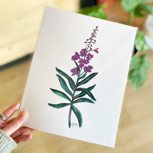 Fireweed 11x14 Print by Anya Toelle