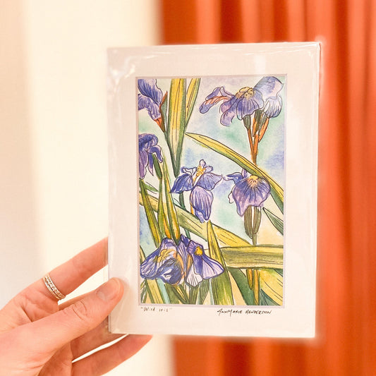 Wild Iris 4x6 Matted Print by AnnMarie Henderson