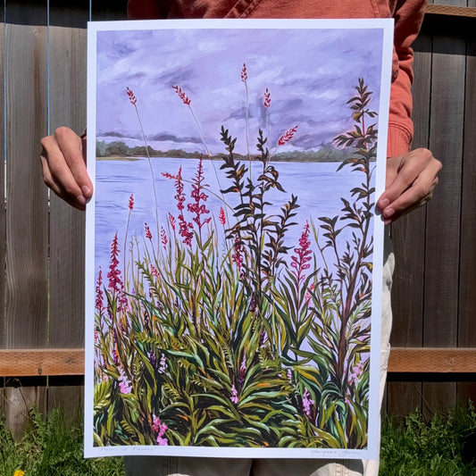 Fluster of Fireweed 13x19 Print by AnnMarie Young Art