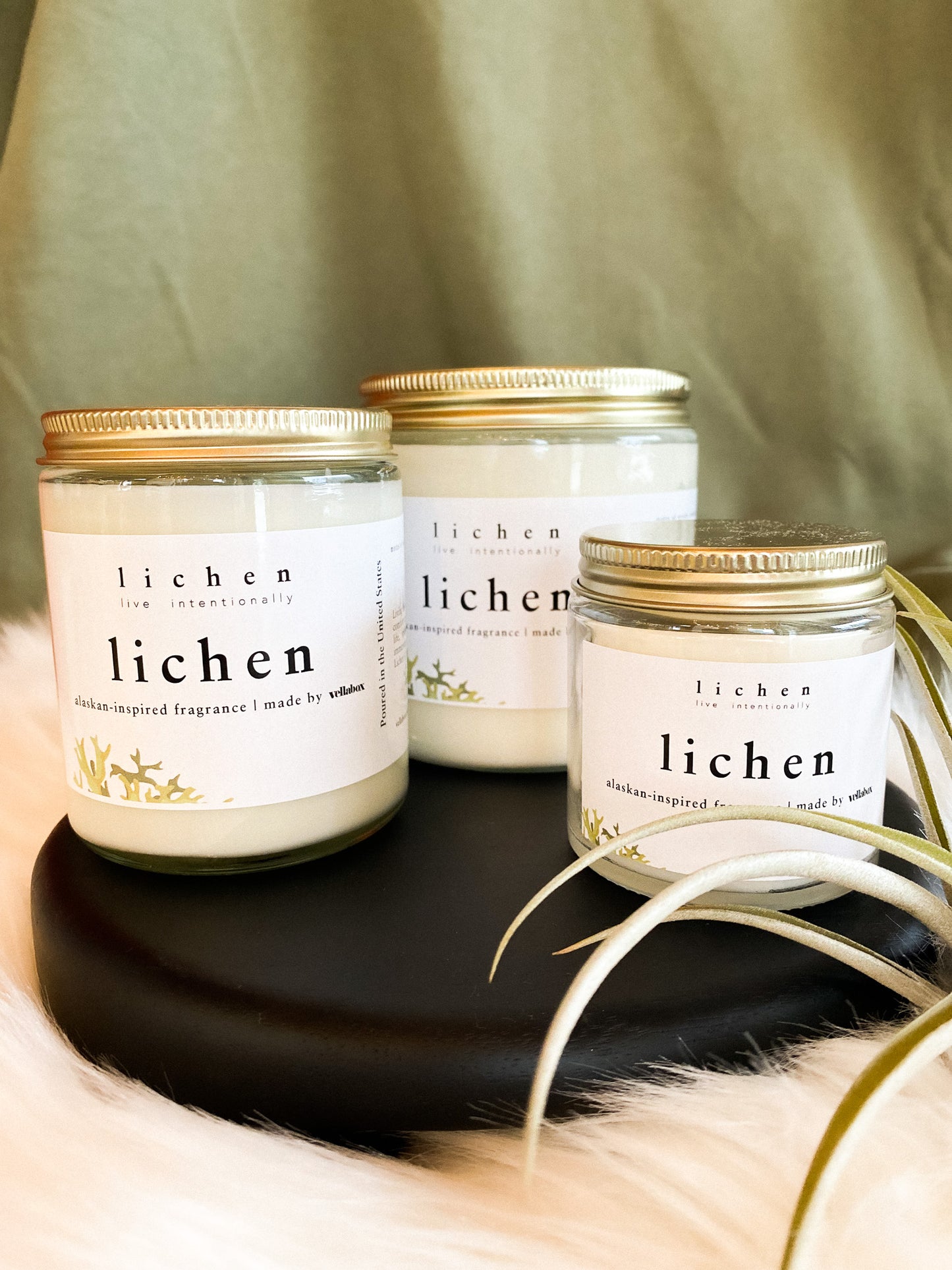 Signature Lichen Soy Wax Candle by Lichen x Vellabox