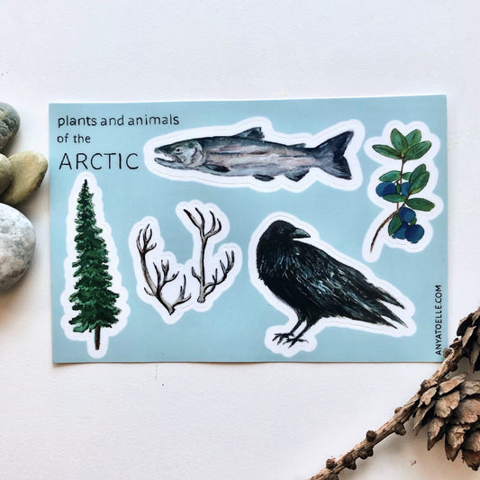 Arctic Sticker Sheet by Anya Toelle