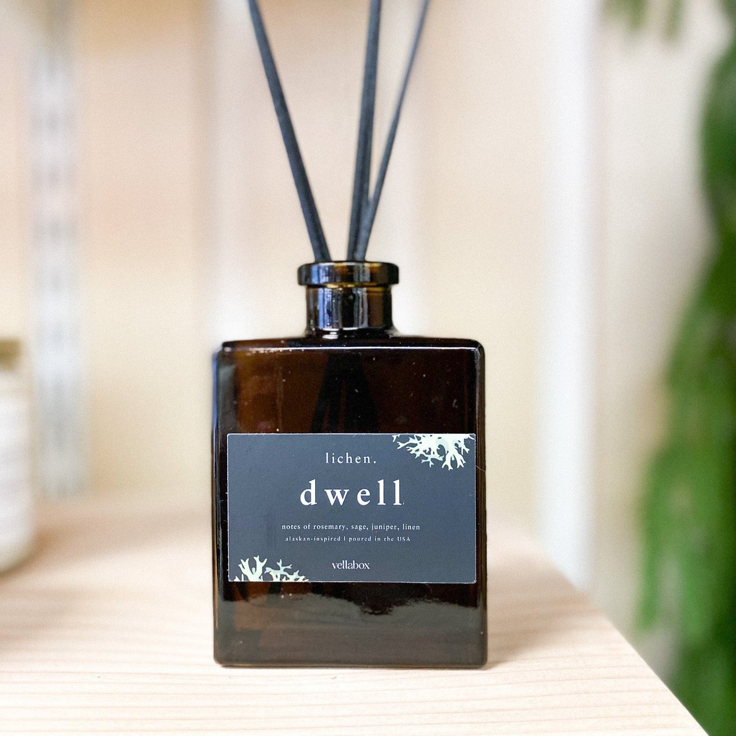 Dwell Diffuser by Lichen x Vellabox