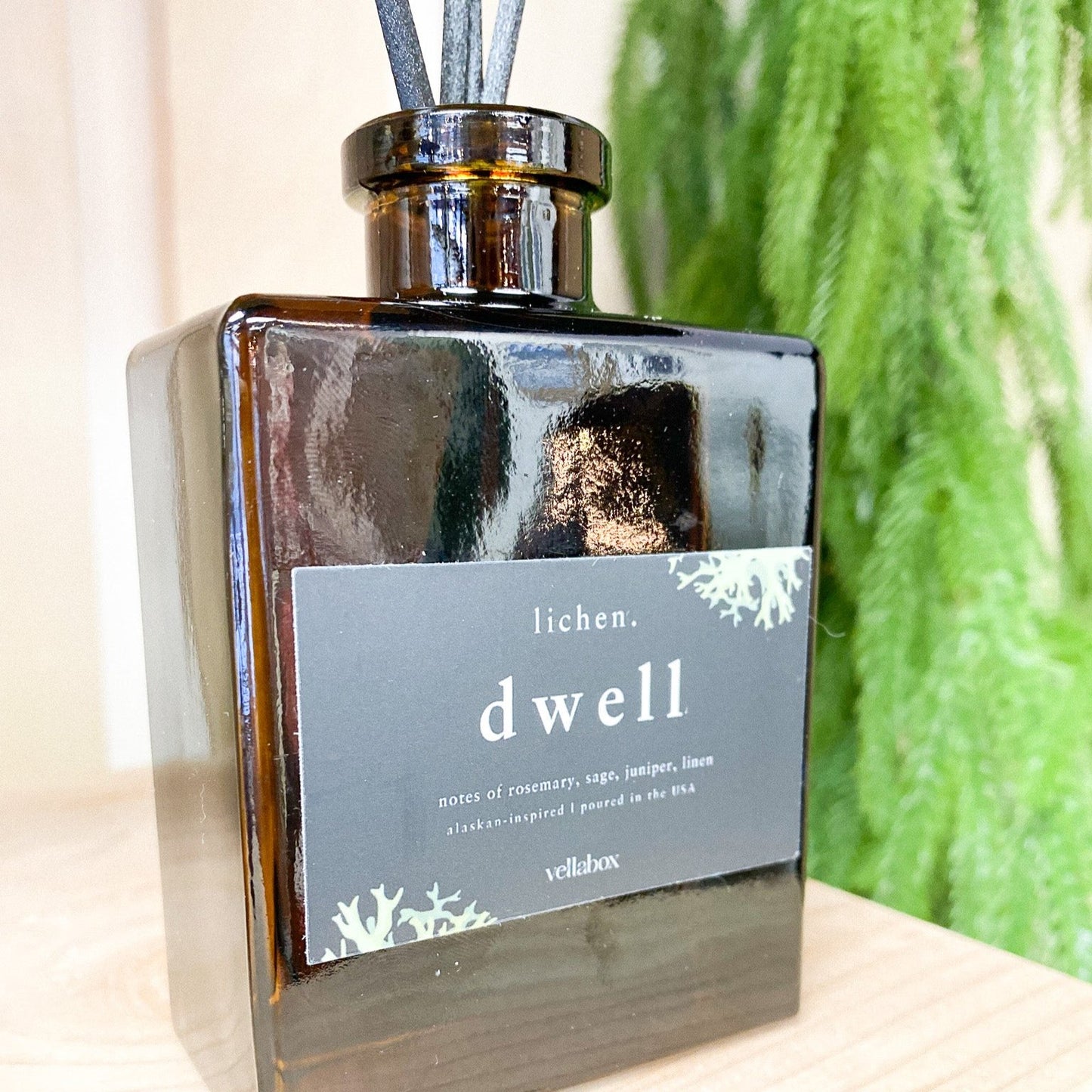 Dwell Diffuser by Lichen x Vellabox