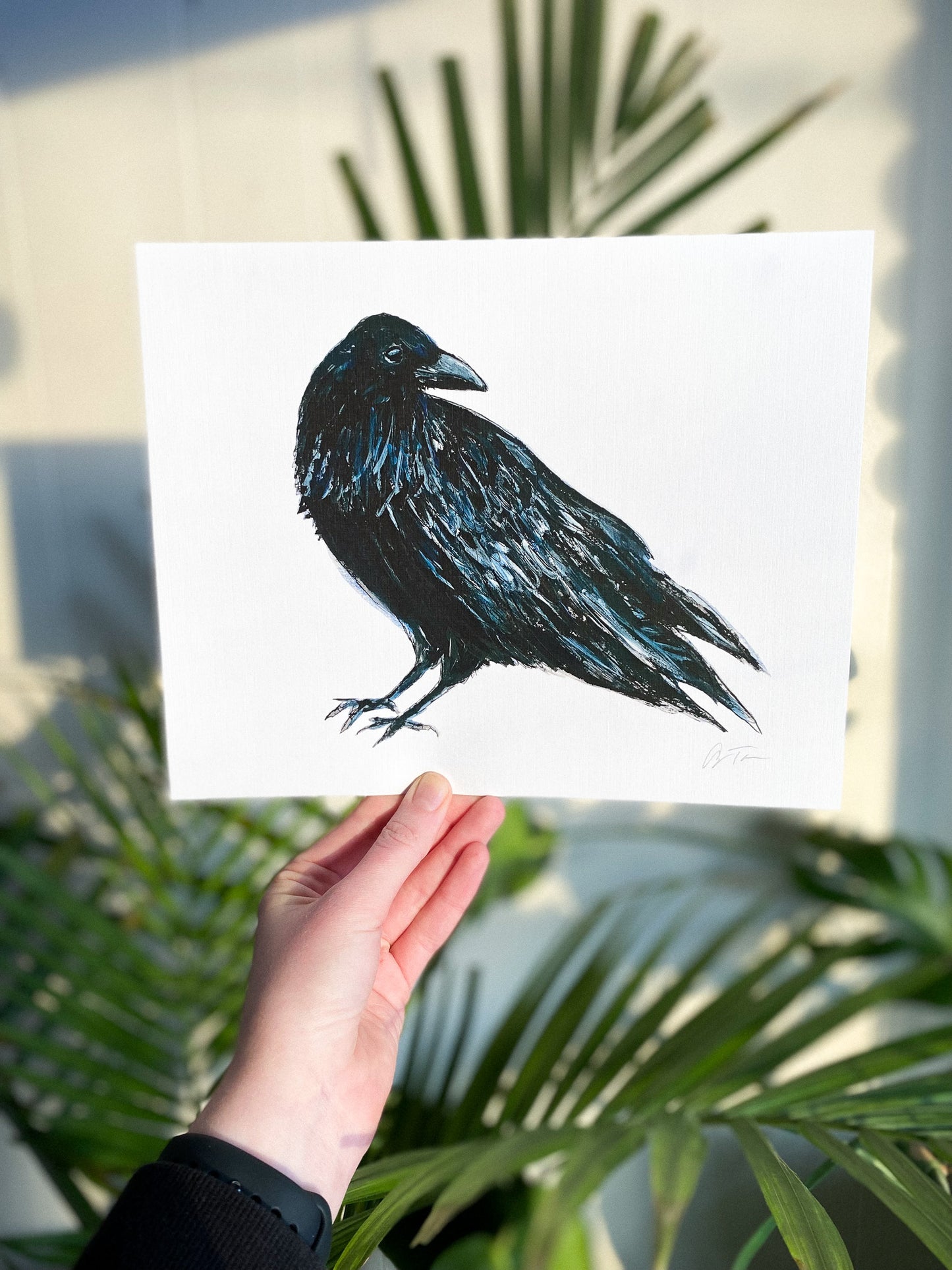 Raven 8x10 Print by Anya Toelle