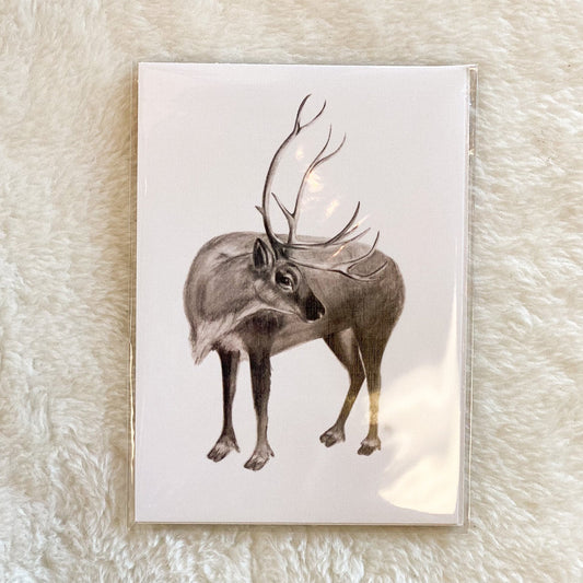 Reindeer Sketch 5x7 print  by Anya Toelle