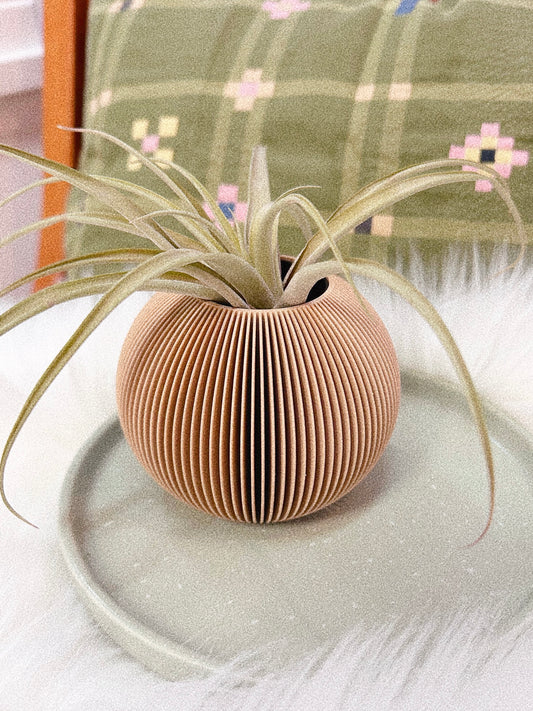 Bubble Vase | Natural Wood by Modernized Pottery