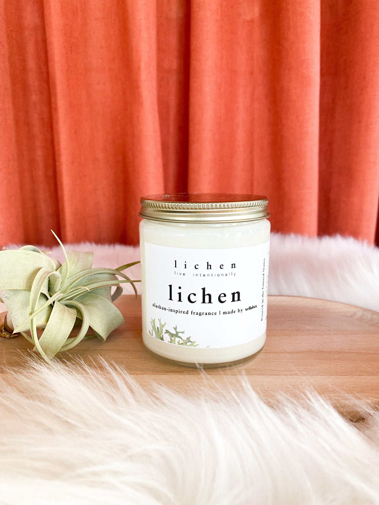 Signature Lichen Soy Wax Candle by Lichen x Vellabox