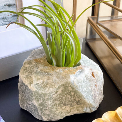 Green Quartz Air Plant Holder #422 by Passionate Gem