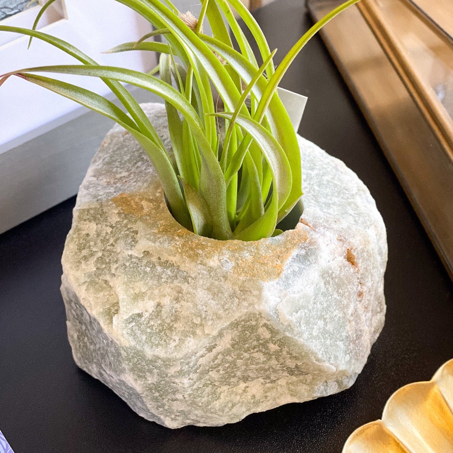 Green Quartz Air Plant Holder #422 by Passionate Gem