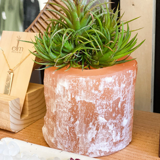 Peach Selenite Air Plant Holder #421 by Passionate Gem