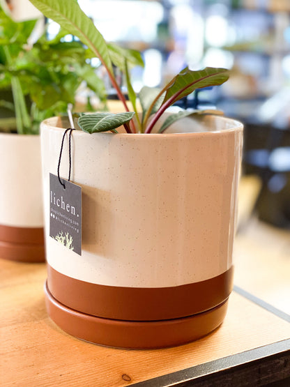 Desert Clay 6" Planter