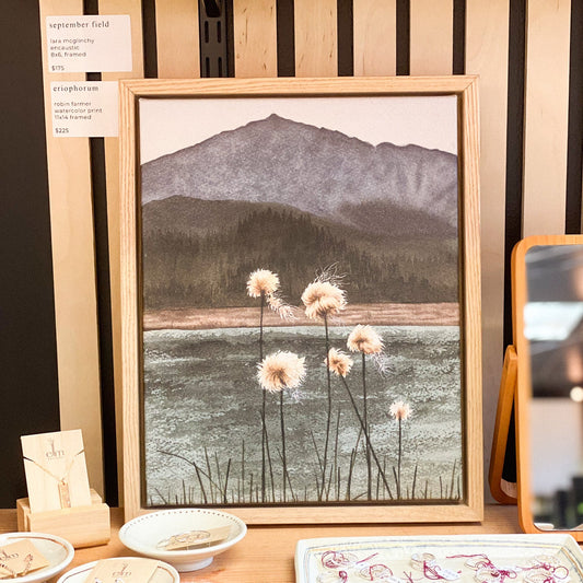 Eriophorum 11x14 Framed Canvas Print by Robin Farmer