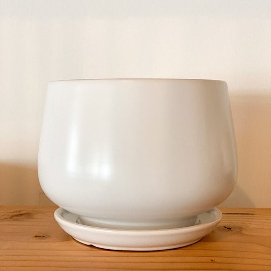 Cloudburst Ceramic 5" Planter