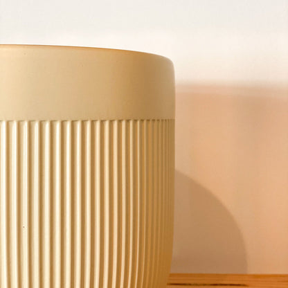 Sunrise Ceramic 5" Planter