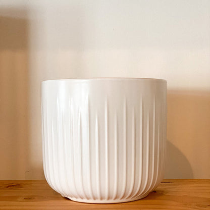 Upline Ceramic 5" Planter | White