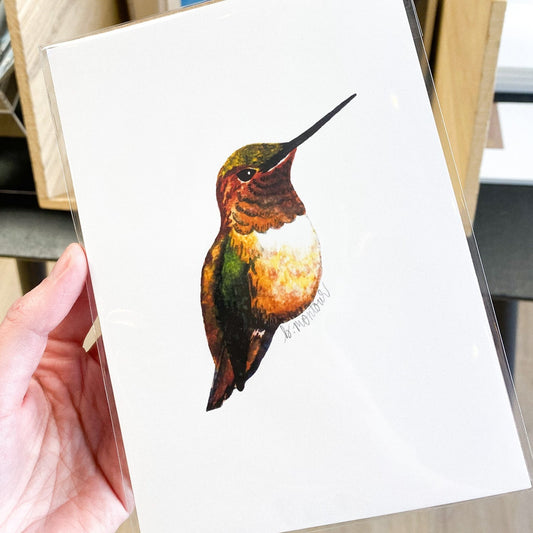 Rufous Hummingbird 5x7 Print by Brittany Montour