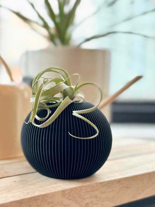 Bubble Vase | Black by Modernized Pottery