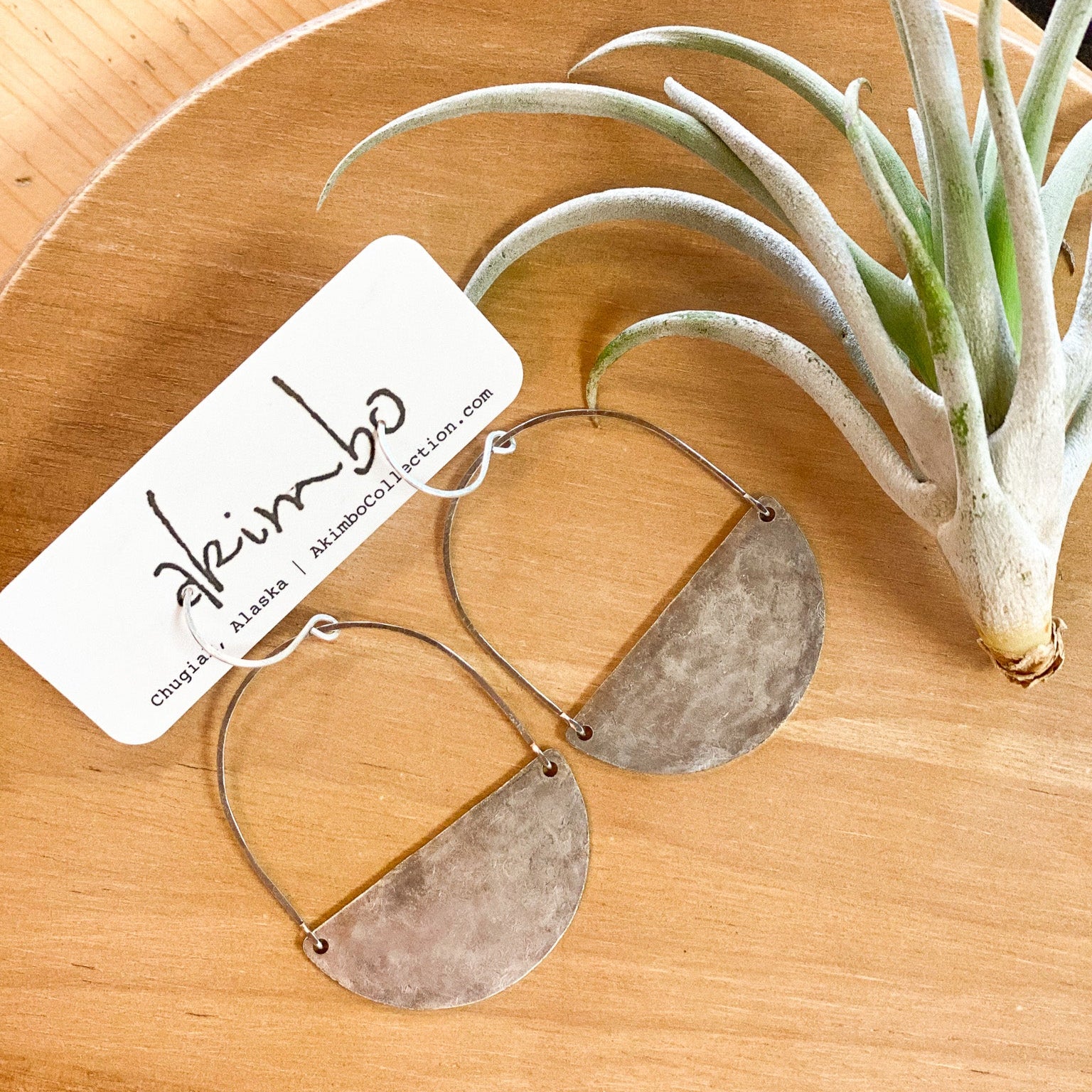 Pair of silver earrings next to air plant. Hand made earrings from Alaska.