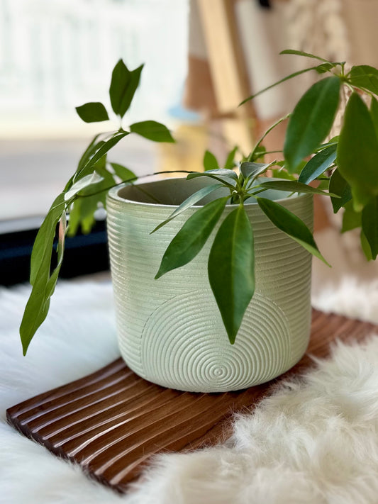 Scandi Concrete Planter | Mint by Made by Kippen