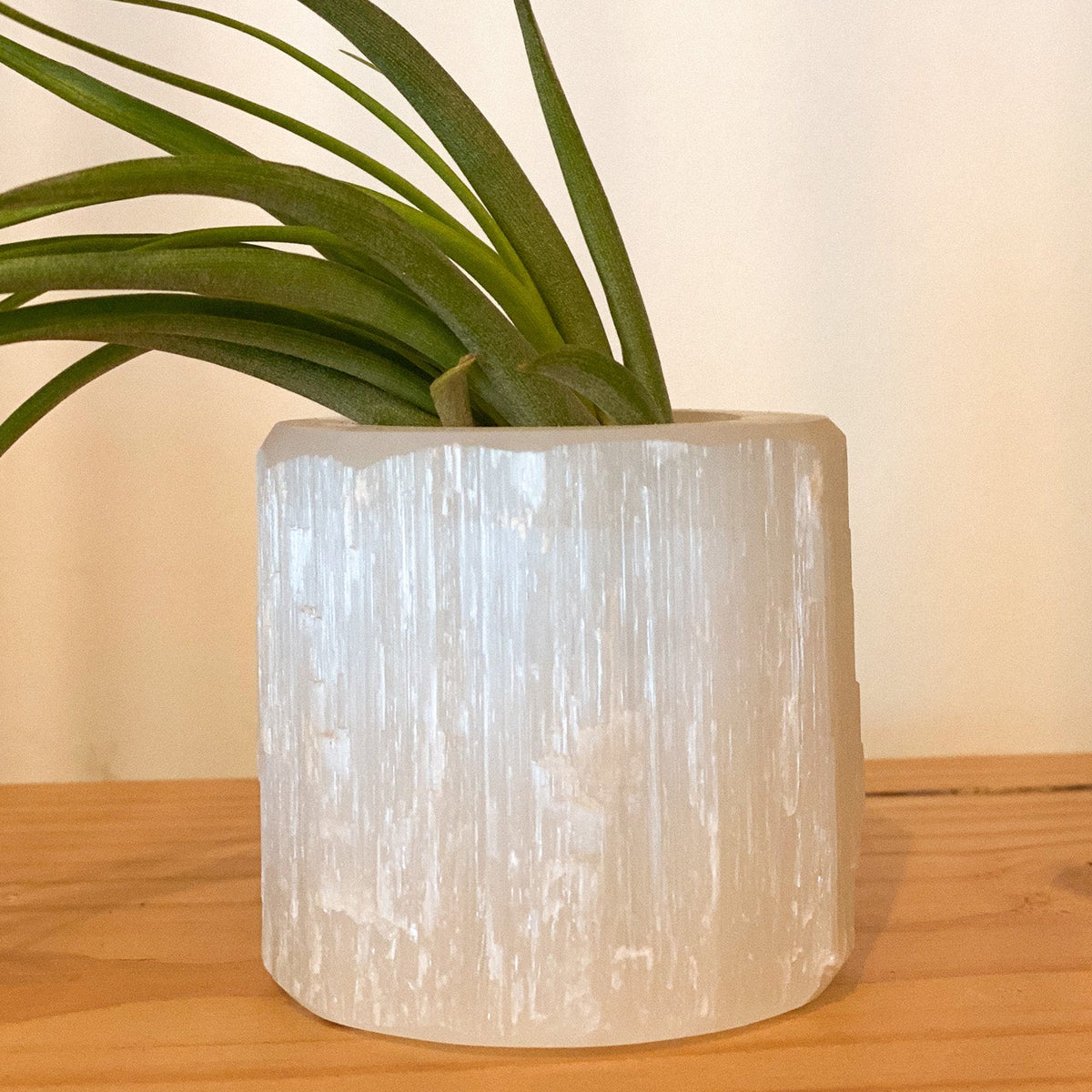 Selenite Air Plant Holder #434 by Passionate Gem