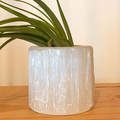 Selenite Air Plant Holder #434 by Passionate Gem