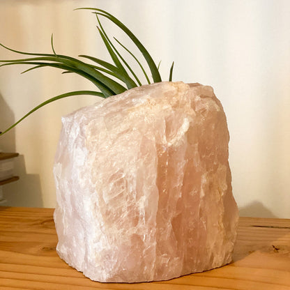 Pink Quartz Air Plant Holder #433 by Passionate Gem