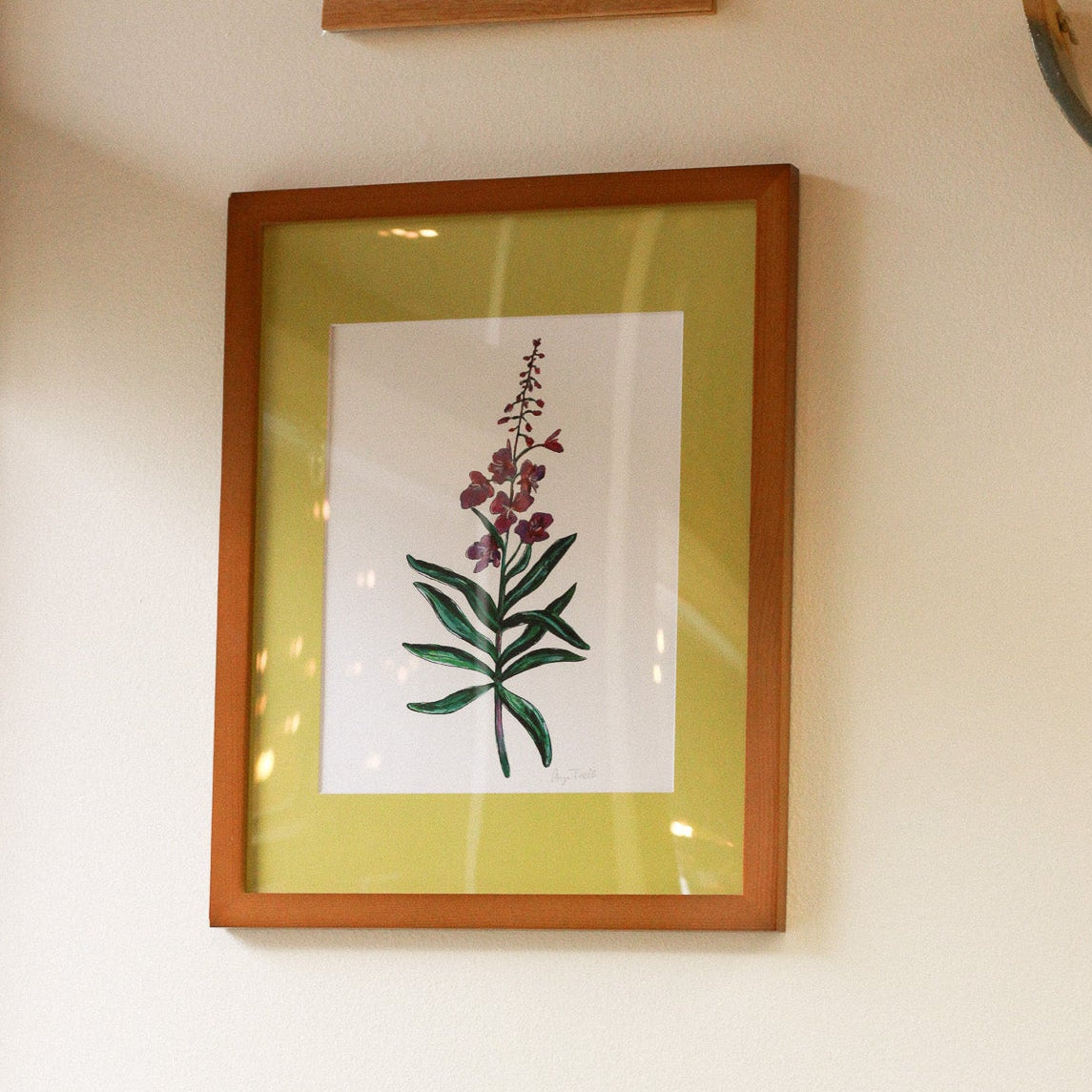 Fireweed 8x10 Framed Print by Anya Toelle