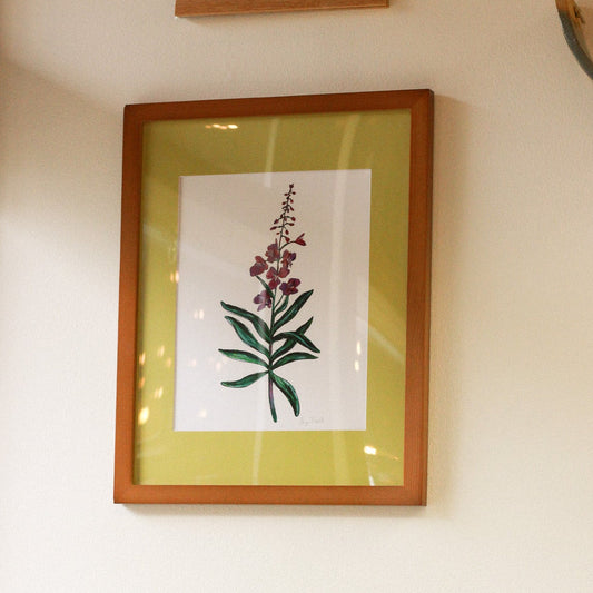 Fireweed 8x10 Framed Print by Anya Toelle